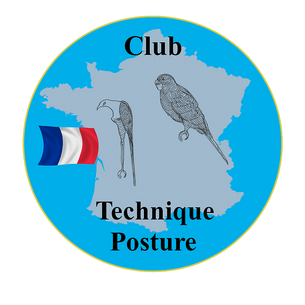 Le site du CTP